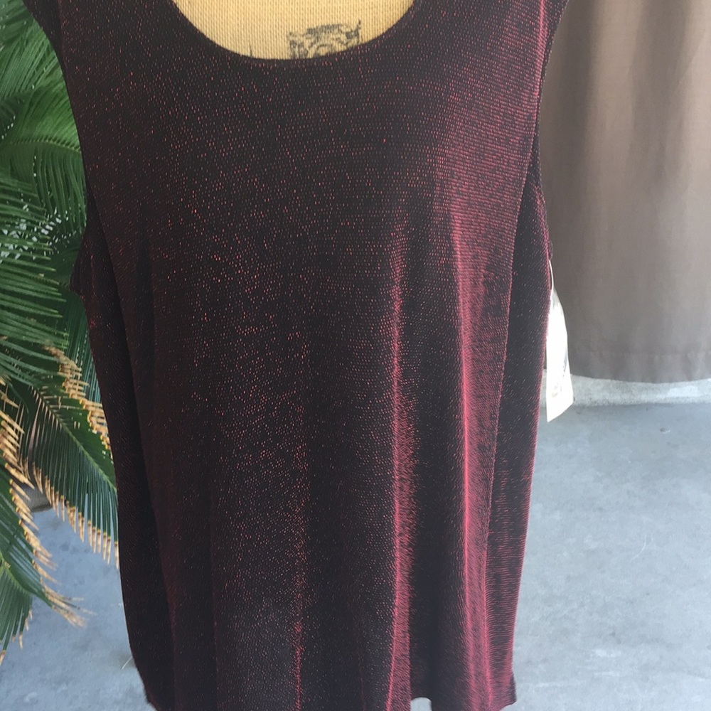 Very well made fully lined  NWT fancy  sparkly top - Picture 3 of 8